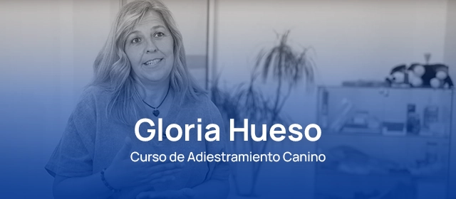 Así me formé como adiestradora canina y monté mi propio negocio: Opinión de Gloria