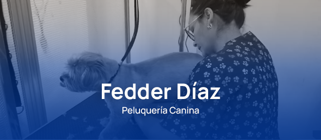 Fedder abre su propia peluquería canina