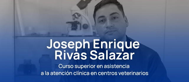 QVET me ha dado una ventaja real para trabajar en una clínica veterinaria
