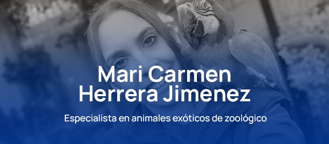 Mari Carmen convierte su pasión por las psitácidas en Loro Mágina, su proyecto profesional