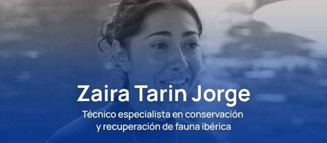 Trabajar con animales marinos