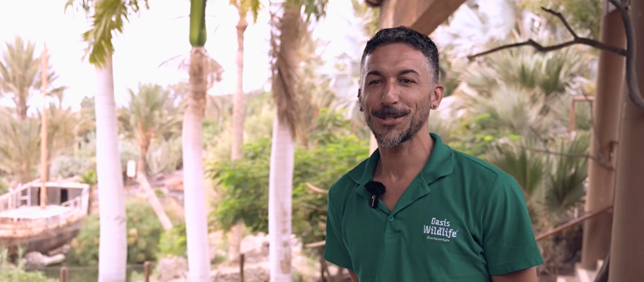 Trabajar como cuidador de animales