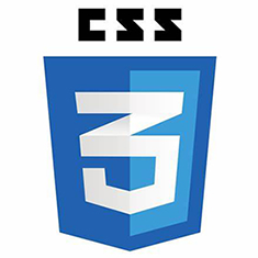 CSS3 logo