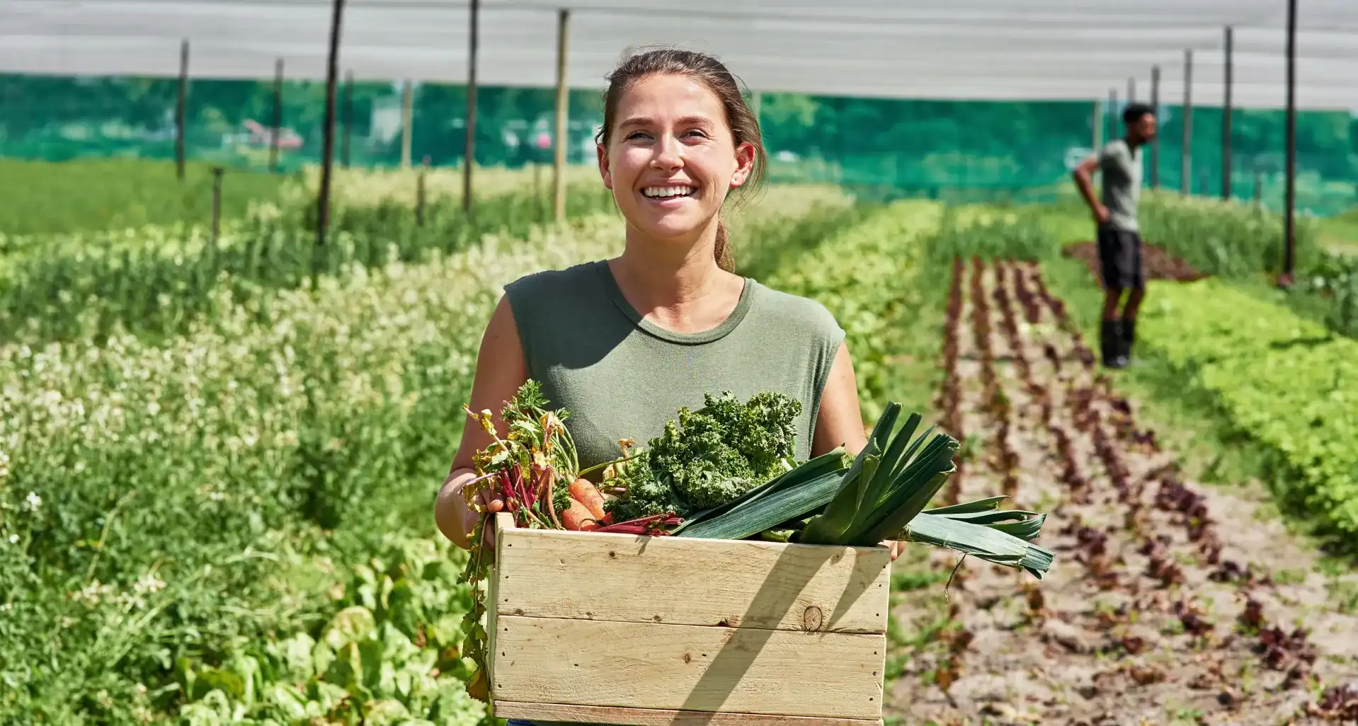 Curso agricultura