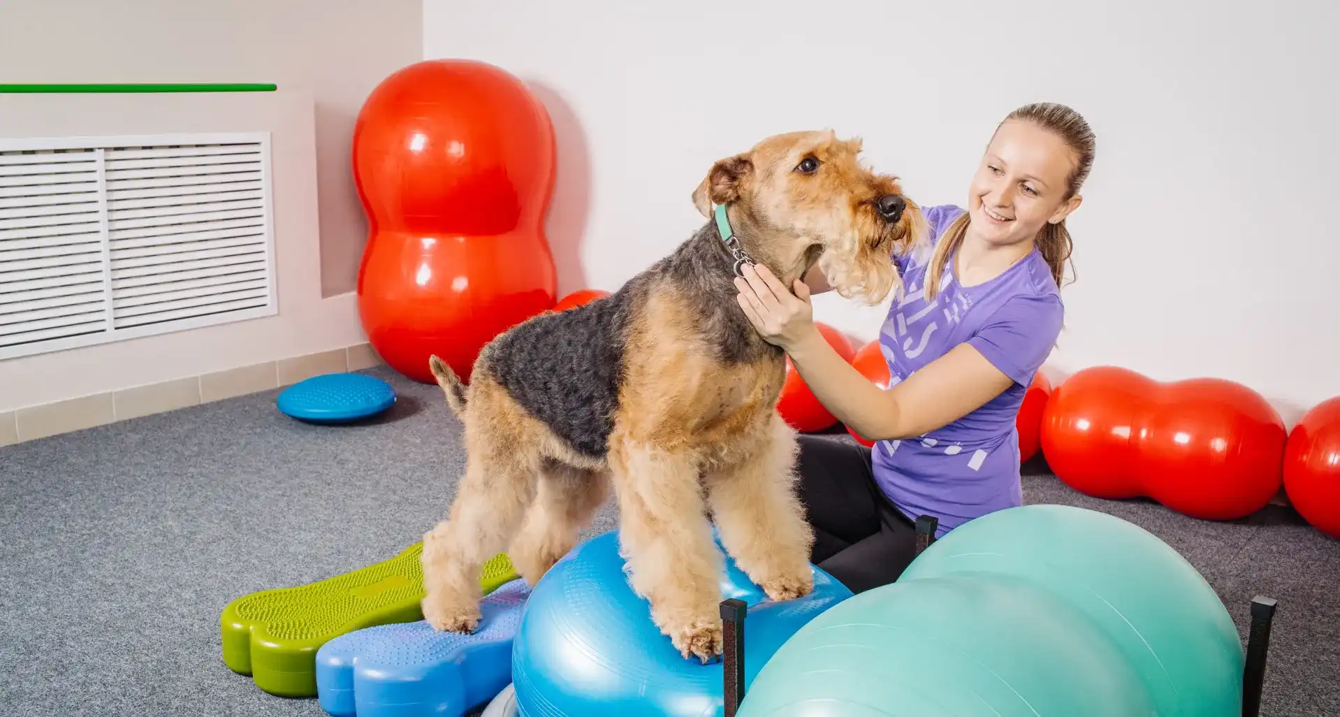 Curso Fisioterapia Canina