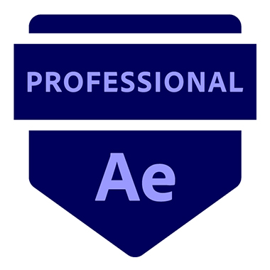 Adobe After Effects Professional
