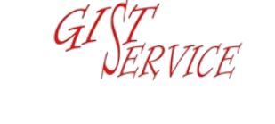 Gist Service logo