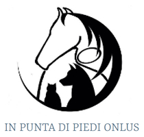 Logo In Punta di Piedi Onlus