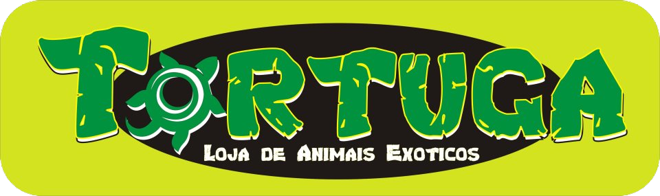 Tortuga - parceria do curso de auxiliar de veterinária exóticos e tratador de zoológico