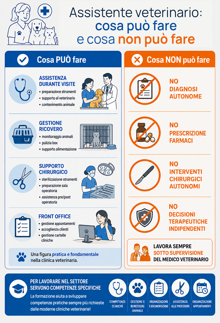 Assistente veterinario, cosa puo e non puo fare